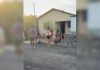 Homem morre após cair em buraco de fossa aberta no interior do Tocantins